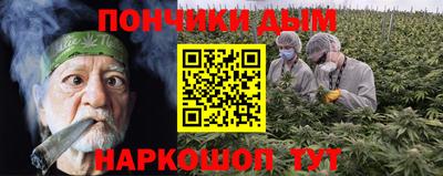 a pvp Кингисепп