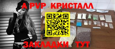 a pvp Кингисепп